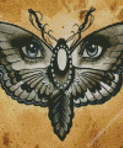 Eyes Butterfly Diamond Painting
