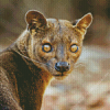 Fossa Animal Diamond Painting