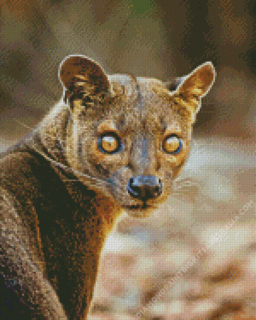 Fossa Animal Diamond Painting