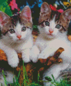 Kitten In Garden Diamond Painting