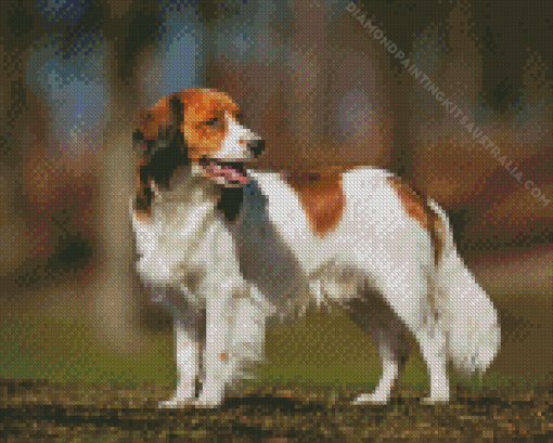 Kooiker Dog Pet Diamond Painting
