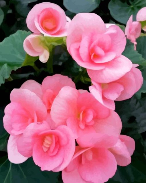 Light Pink Begonias Diamond Painting