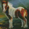 Little Shetland Pony Diamond Painting