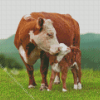 Mother and Baby Cow Diamond Painting
