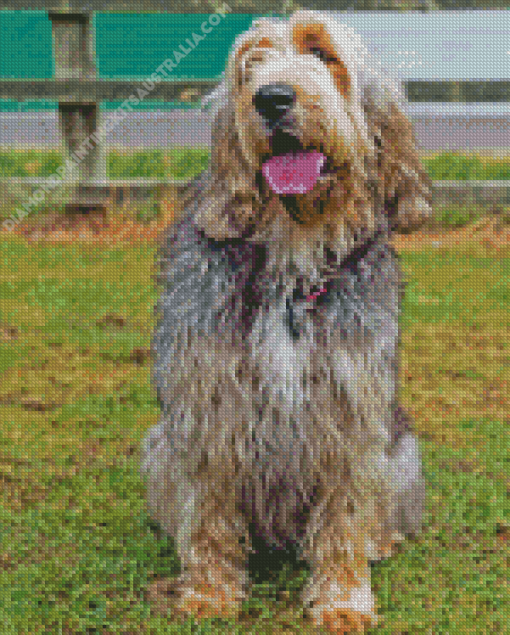 Otterhound Dog Diamond Painting