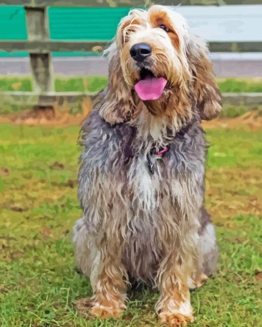 Otterhound Dog Diamond Painting