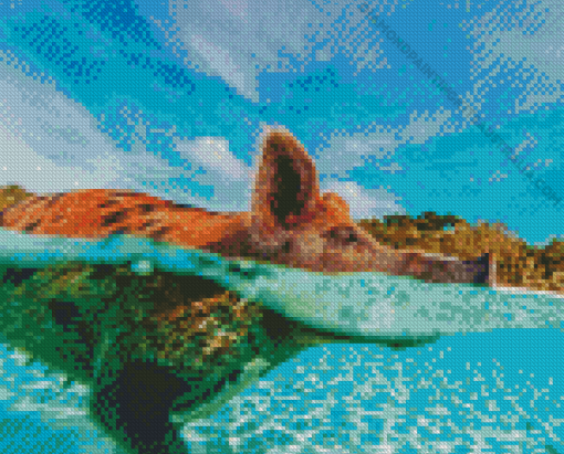 Pig In The Beach Diamond Painting