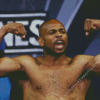 Roy Jones Junior Diamond Painting