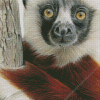 Sifaka Art Diamond Painting