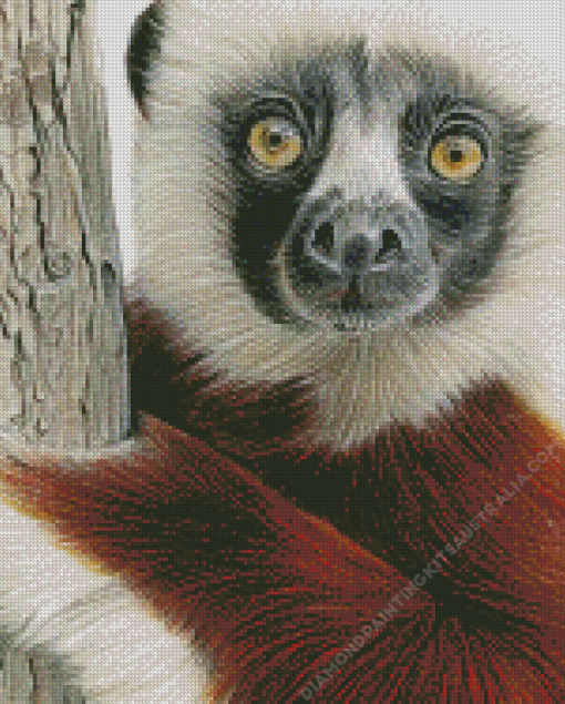 Sifaka Art Diamond Painting