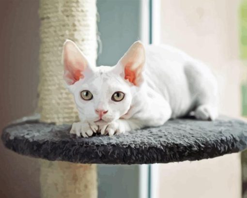 White Devon Rex Diamond Painting