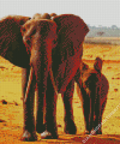 Wildlife Desert Elephant Diamond Painting