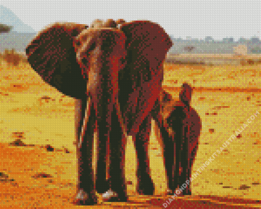 Wildlife Desert Elephant Diamond Painting