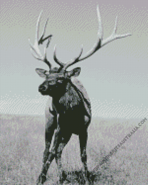 Black and White Elk Diamond Painting