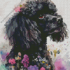 Black Poodles Diamond Painting
