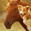 Cute Horse Dog Diamond Painting