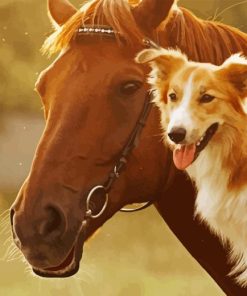 Cute Horse Dog Diamond Painting