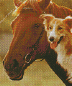 Cute Horse Dog Diamond Painting
