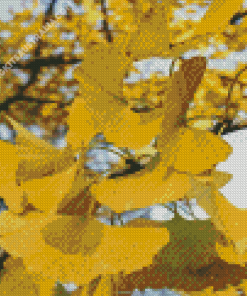 Ginkgo Tree Diamond Painting