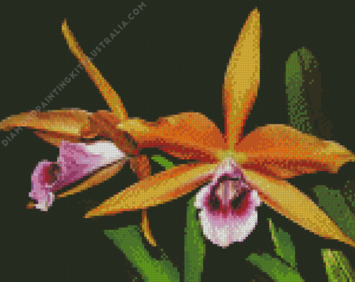 Laelia Orchid Diamond Painting