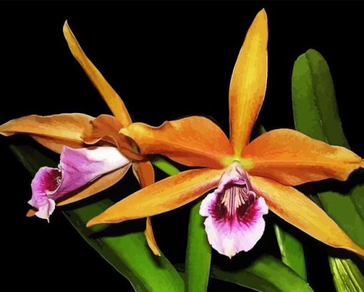 Laelia Orchid Diamond Painting