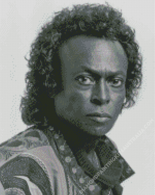 Miles Davis Diamond Painting