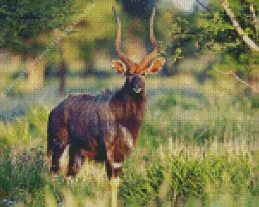 Nyala Diamond Painting