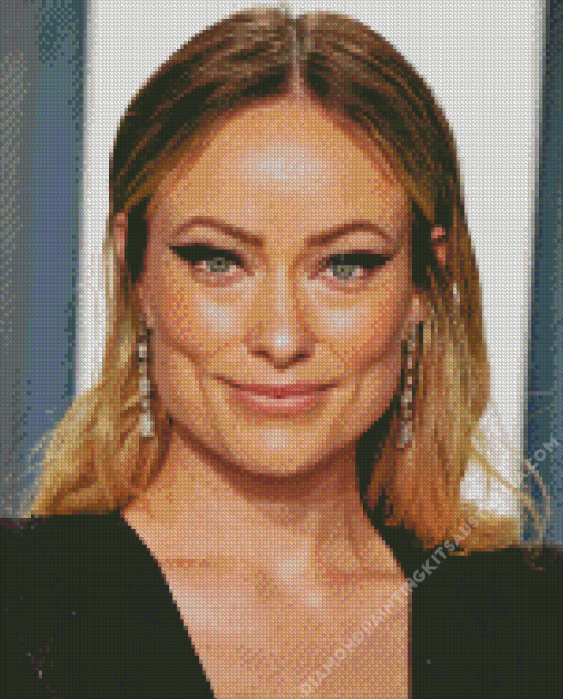 Olivia Wilde Diamond Painting