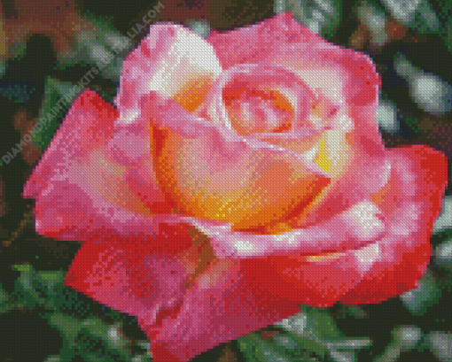 Rosa Peace Diamond Painting