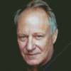 Stellan Skarsgard Diamond Painting