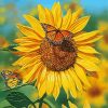 Sunflower Butterflies Diamond Painting