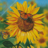 Sunflower Butterflies Diamond Painting