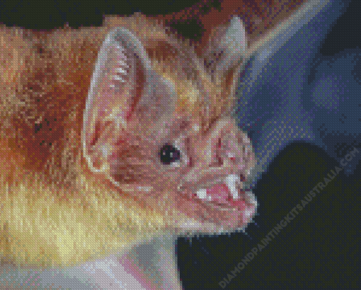 Vampire Bat Diamond Painting