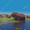 African Zambezi Elephants Diamond Painting