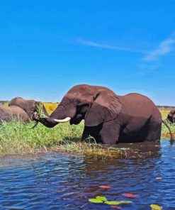 African Zambezi Elephants Diamond Painting