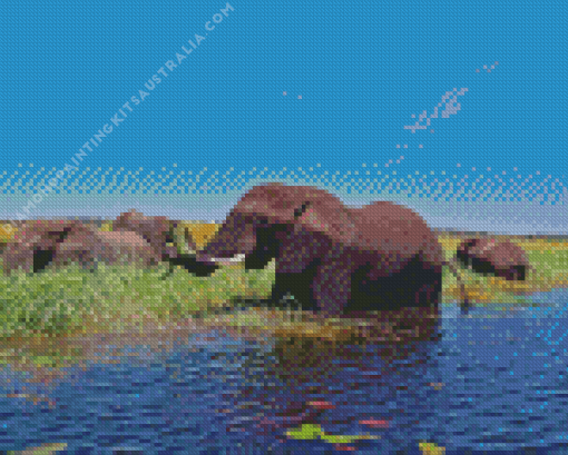 African Zambezi Elephants Diamond Painting