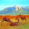 Albert Bierstadt Deer Diamond Painting