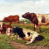 Ayrshire Cattle In Farm Diamond Painting