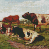 Ayrshire Cattle In Farm Diamond Painting