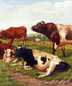 Ayrshire Cattle In Farm Diamond Painting