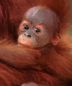 Baby Orangutan Diamond Painting