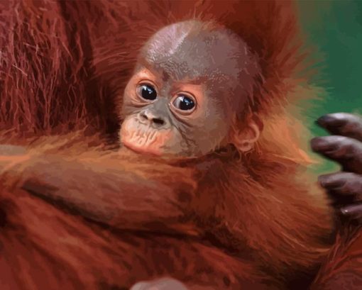 Baby Orangutan Diamond Painting