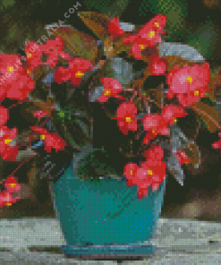 Begonias Vase Diamond Painting