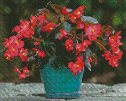 Begonias Vase Diamond Painting