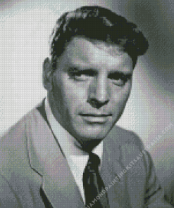 Black And White Burt Lancaster Diamond Painting