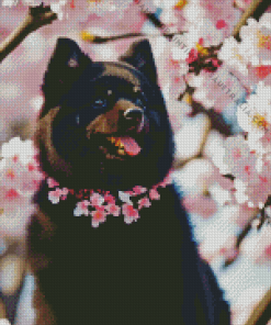 Black Pomeranian And Cherry Blossoms Diamond Painting