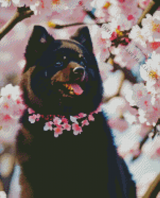 Black Pomeranian And Cherry Blossoms Diamond Painting