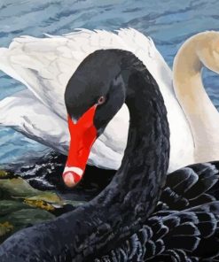 Black And White Swans Diamond Painting