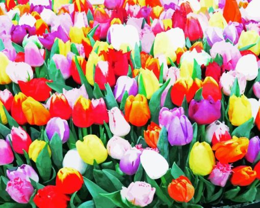 Blooming Colorful Tulips Diamond Painting