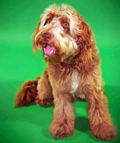 Brown Otterhound Dog Diamond Painting